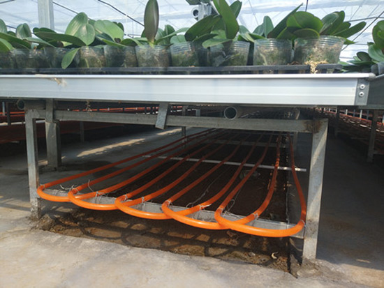 農(nóng)業(yè)種植、養(yǎng)殖地源熱泵供暖系統(tǒng)